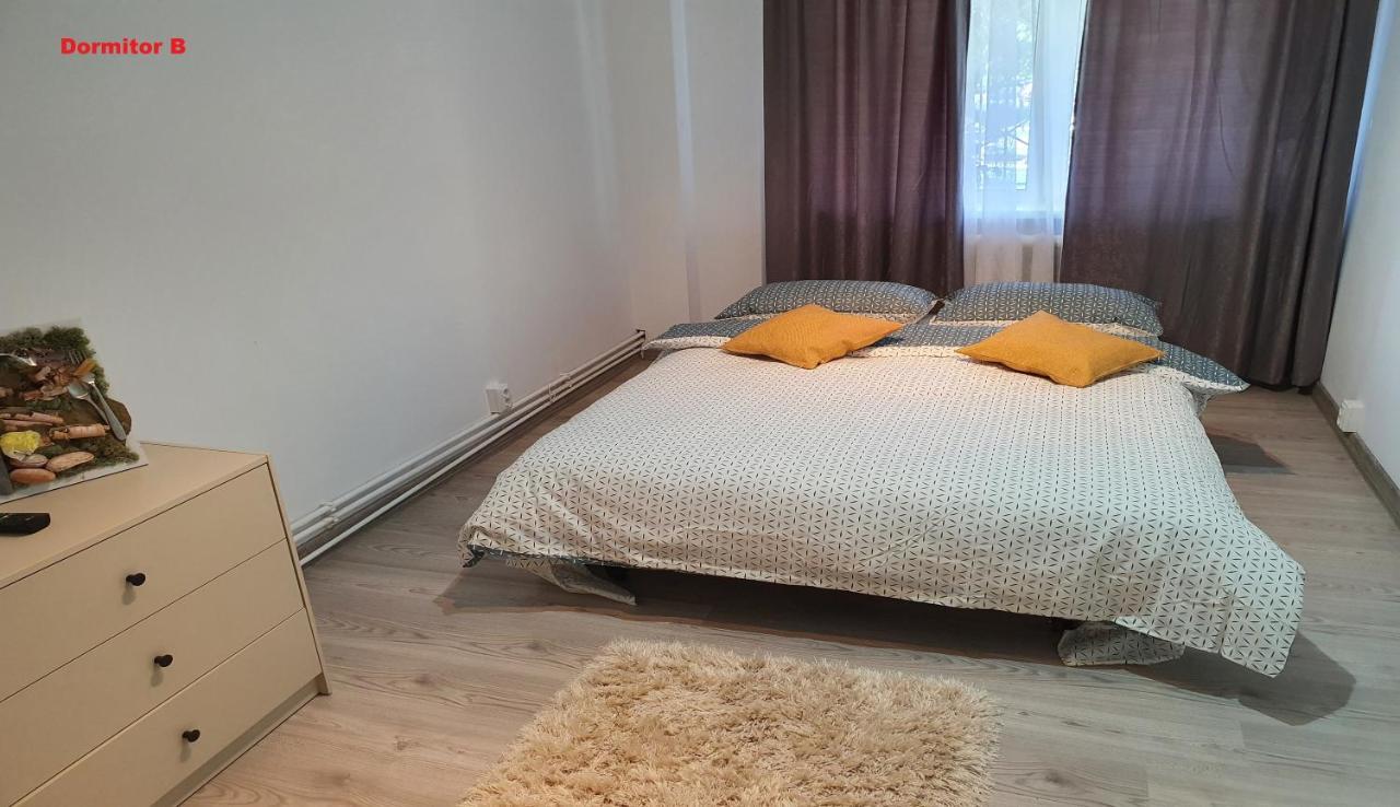 Mia Central Apart, 3 Rooms, 2 Baths, Afi Mall Braşov Eksteriør bilde